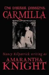 Cover of The Darker Passions