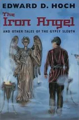 Cover of The iron angel