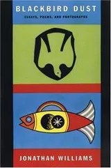 Cover of Blackbird Dust