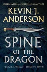 Cover of Spine of the Dragon