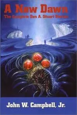 Cover of A New Dawn