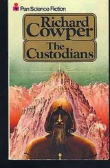 Cover of The Custodians and Other Stories