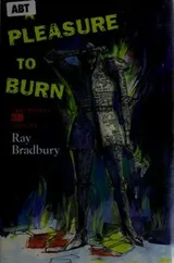 Cover of A Pleasure To Burn