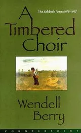 Cover of A timbered choir
