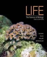 Cover of Life