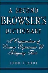 Cover of A Second Browser's Dictionary