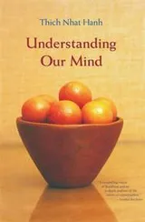 Cover of Understanding Our Mind