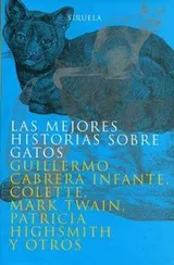 Cover of Las mejores historias sobre gatos