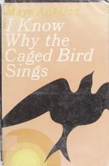Cover of I Know Why the Caged Bird Sings