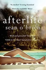Cover of Afterlife