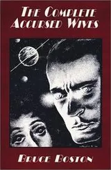 Cover of The Complete Accursed Wives