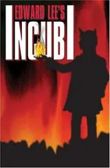Cover of Incubi