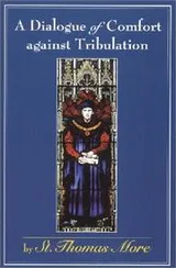 Cover of A dialogue of comfort against tribulation