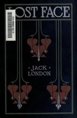 Cover of Lost Face (collection)