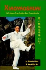 Cover of Xiaoyaoshuai