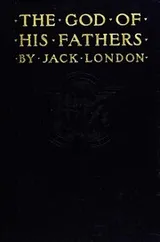 Cover of The God of His Fathers