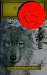 Cover of White Fang