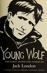 Cover of Young wolf