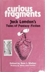 Cover of Curious Fragments