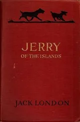 Cover of Jerry of the Islands