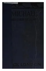 Cover of Michael, Brother of Jerry