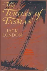 Cover of The Turtles of Tasman