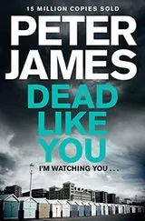Cover of Dead Like You