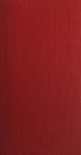 Cover of The archaeology of Palestine