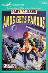 Cover of Amos Gets Famous