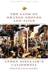 Cover of The land of orange groves and jails