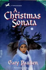 Cover of A Christmas Sonata