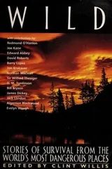 Cover of Wild