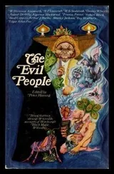 Cover of The evil people