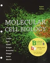 Cover of Loose-leaf Version for Molecular Cell Biology