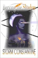 Cover of Burying the shadow