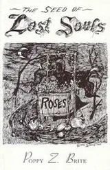 Cover of Seed of Lost Souls