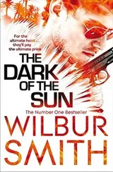 Cover of The Dark of the Sun