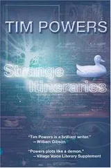 Cover of Strange itineraries