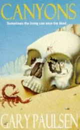 Cover of Canyons