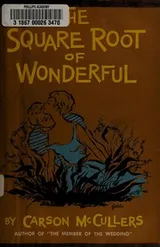 Cover of The square root of wonderful