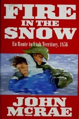 Cover of Fire in the snow