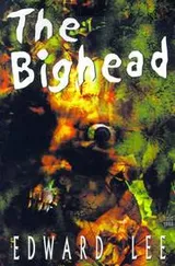 Cover of The Bighead