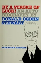 Cover of By a stroke of luck!