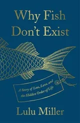 Cover of Why Fish Don’t Exist
