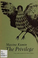 Cover of The privilege