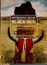 Cover of Morning star, black sun