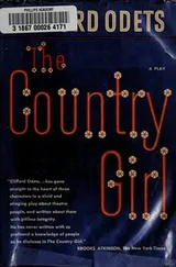 Cover of The country girl