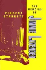 Cover of V8 The Memoirs of Jimmie Lavender