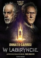 Cover of W labiryncie