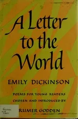 Cover of A letter to the world